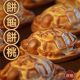 600g餅龜(含盒)